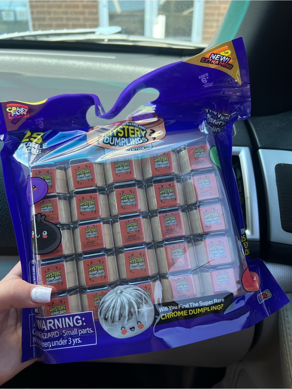 Mystery Dumplings Blind Box Toy Pack